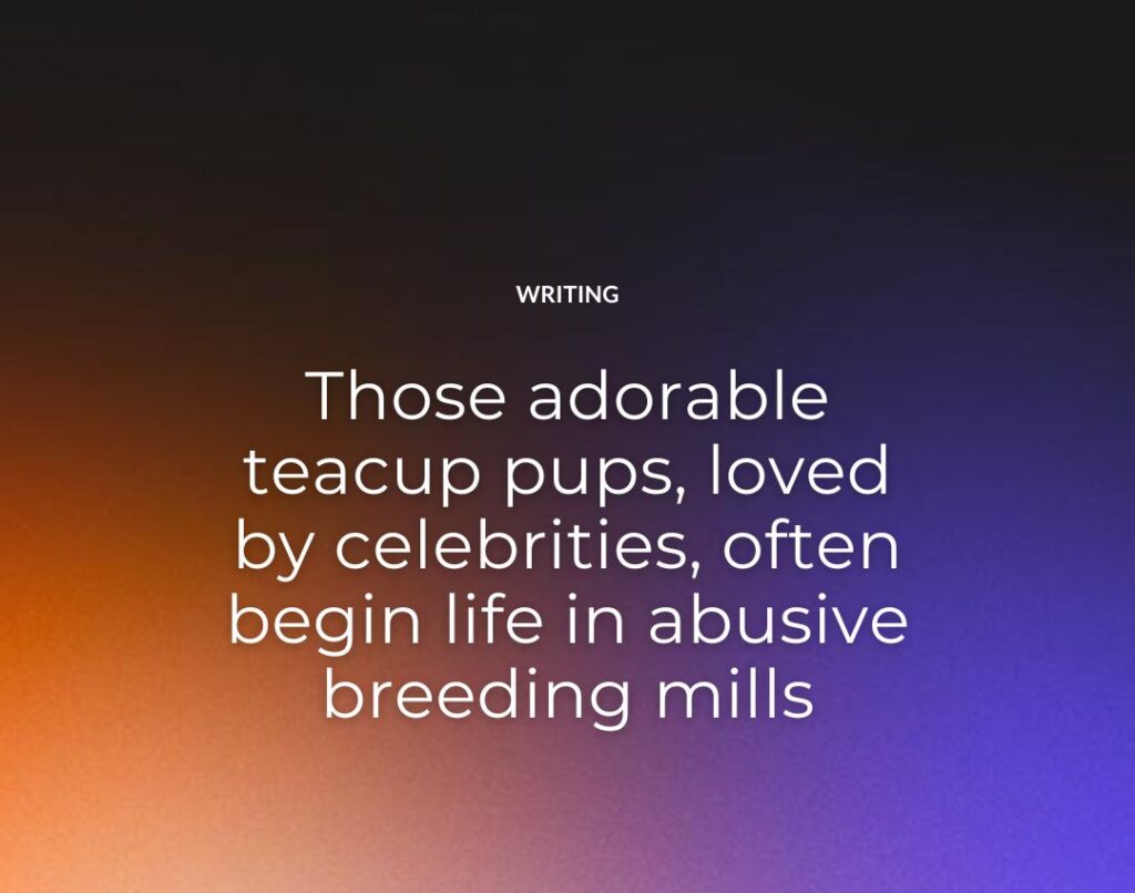 Those adorable teacup pups, loved by celebrities, often begin life in abusive breeding mills