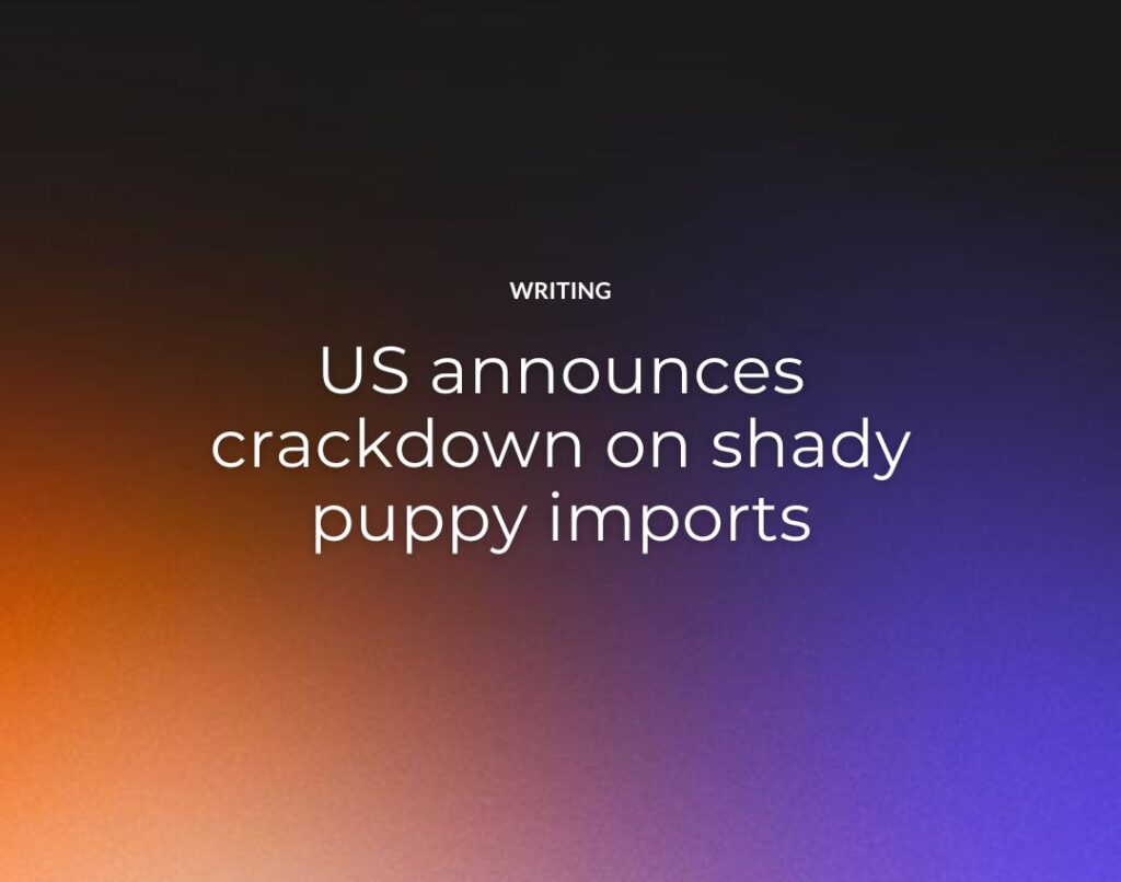 US announces crackdown on shady puppy imports