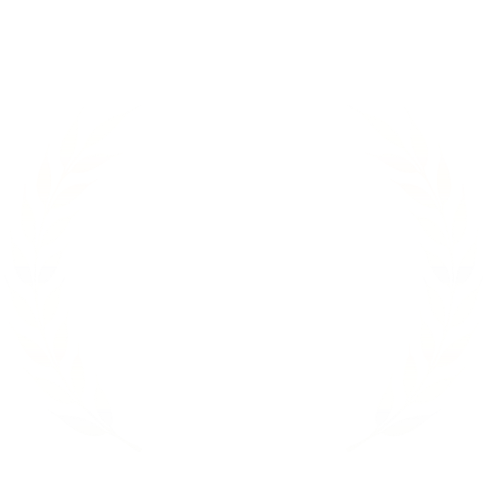 The economist - best books to understand South Korea - award for Samsung rising - 2024